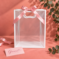 Transparent Gift Bag with Handle – White