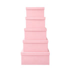 Pink Givana gift box with decorative fillers, perfect for gift packaging and presentation.